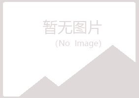 鹤城区夏岚制造有限公司